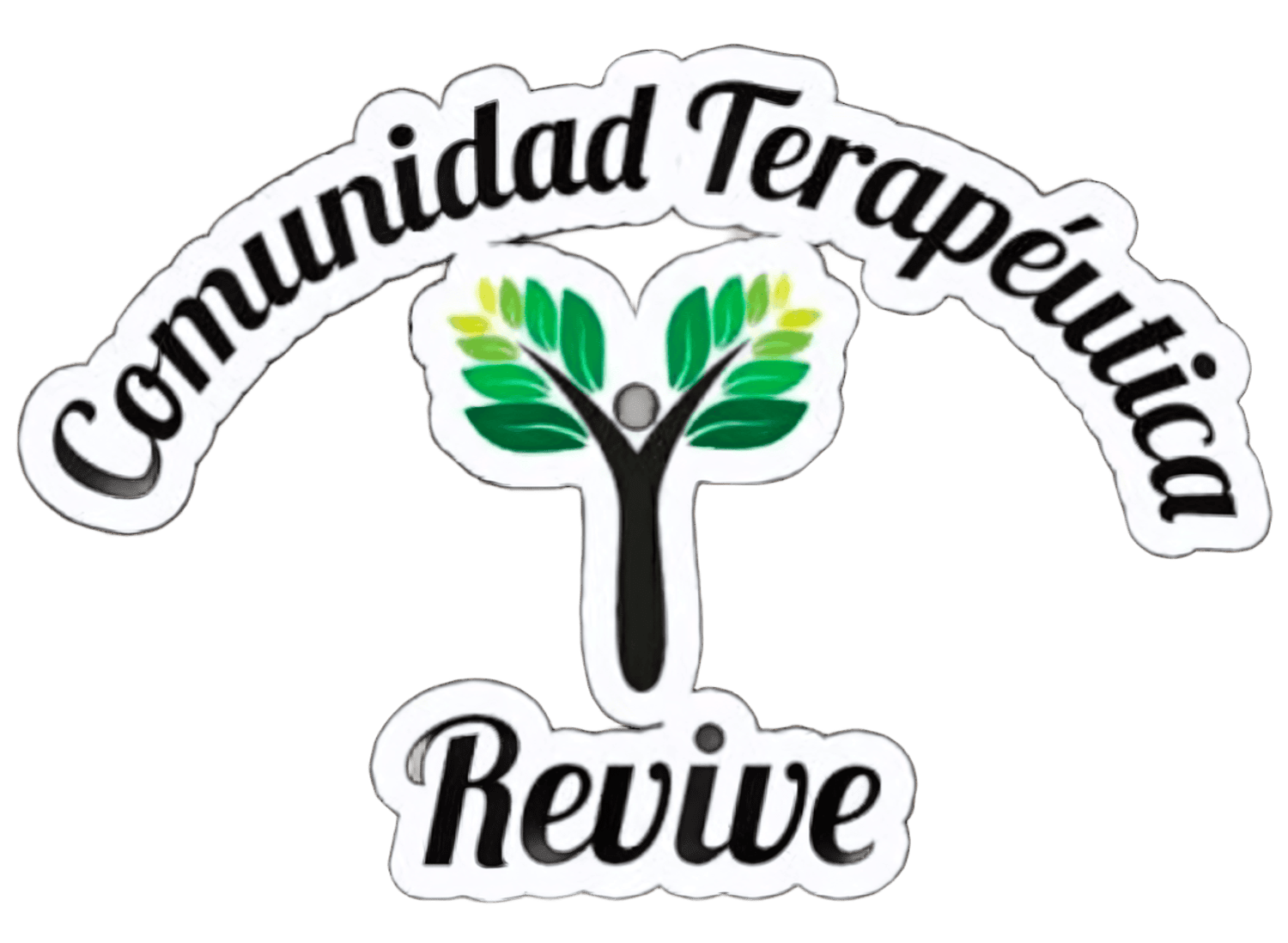 comunidadterapeuticarevive.cl